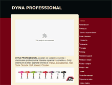 Tablet Screenshot of dynaprofessional.com